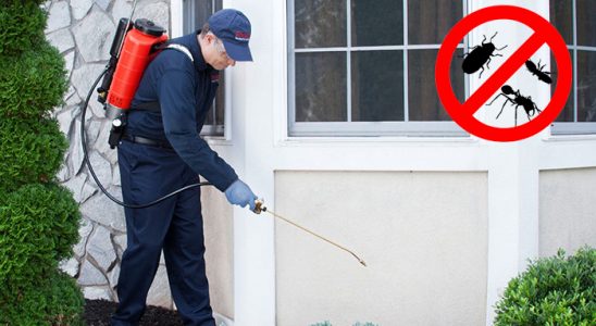 Yeşilyurt Gümüşkurt İlaçlama böcek ilaçlama ve haşere kontrolü — ilaclama-tr.com